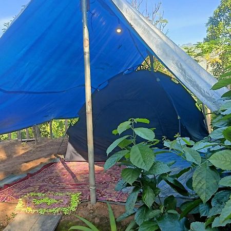 Отель Freedom Camp Элла Экстерьер фото