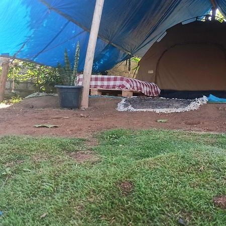 Отель Freedom Camp Элла Экстерьер фото