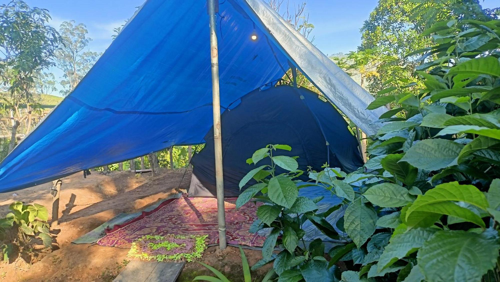 Отель Freedom Camp Элла Экстерьер фото